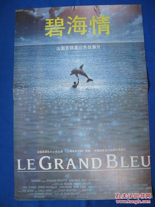 南安普顿索伦特大学理工科文凭证书